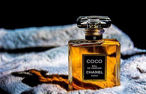 the best chanel perfume 2022